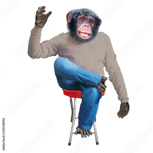 Photos chimpanzé, assis, tenir un objet, tenir un verre, singe, jeune, animal, habillé