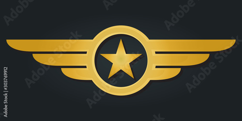 Star with wings logo. Military and Army winged badge. Golden Aviation emblem. Vector illustration.