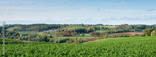 autumn landscape with fields and blue sky of south limburg in the netherlands under blue sky