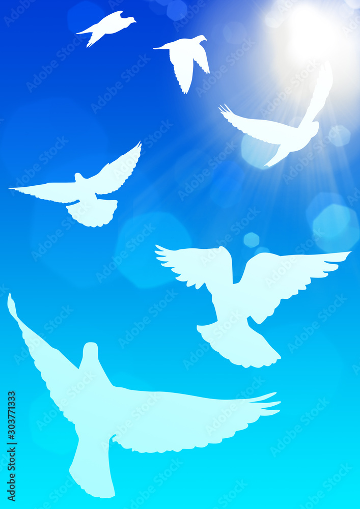 Fototapeta premium 鳥の群れ2