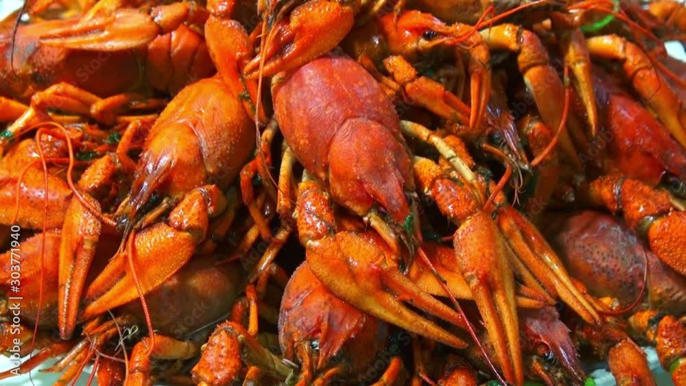 River boiled crayfish a good snack to beer. Waiter puts on the table a plate of boiled red river cancer . A plate of fuming or smoking hot crawfish in the restaurant. Shot on RED Camera Slow motion. River boiled crayfish a good snack to beer. Waiter puts on the table a plate of boiled red river cancer . A plate of fuming or smoking hot crawfish in the restaurant. Shot on RED Camera Slow motion.