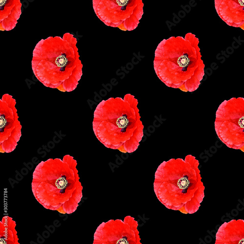 Seamless pattern red poppies