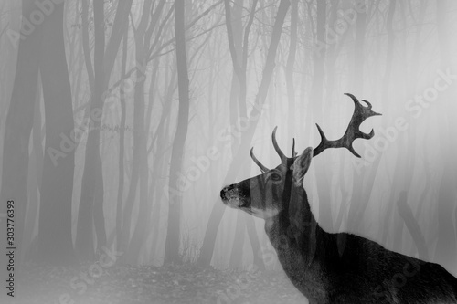 Canvas Print Double exposure of antler and forest