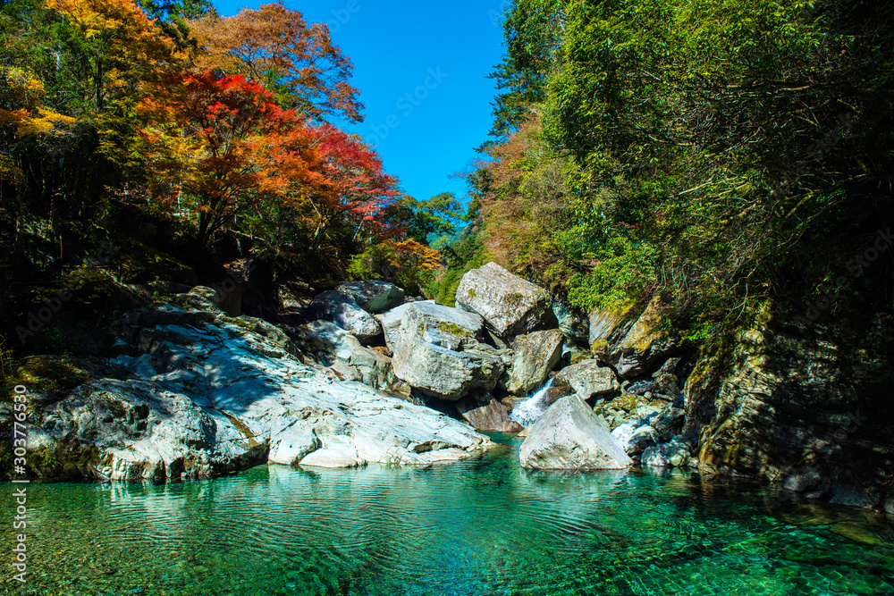 Fototapeta premium 紅葉と仁淀ブルー