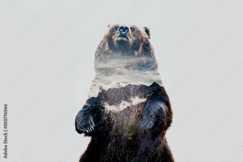Minimal style double exposure with a bear and misty mountains - obrazy, fototapety, plakaty 