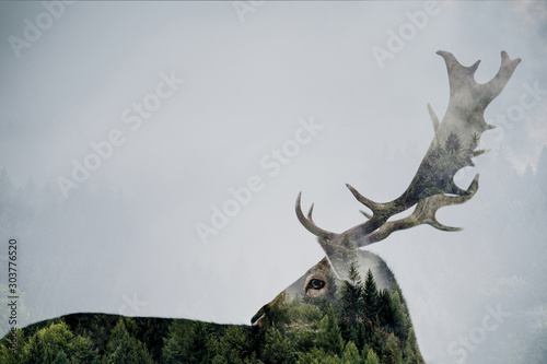 Double exposure of antler and forest