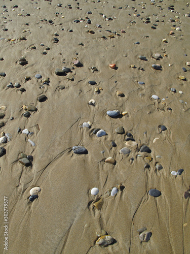 Different sea pebbles on the wet sand on the beach