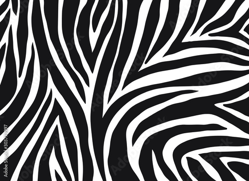 zebra pattern. vector Animals background