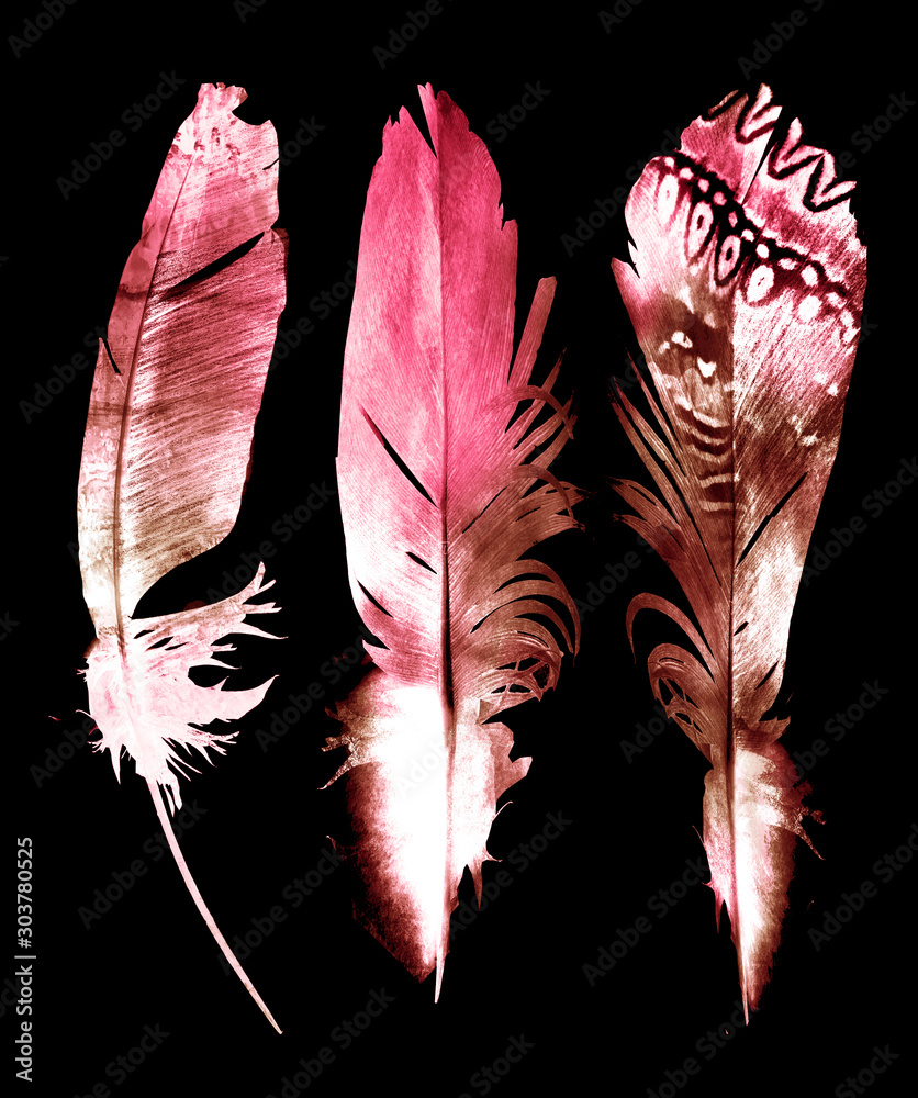 Obraz Watercolor feathers, isolated on black background