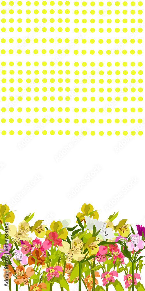 Obraz premium astromeria flower