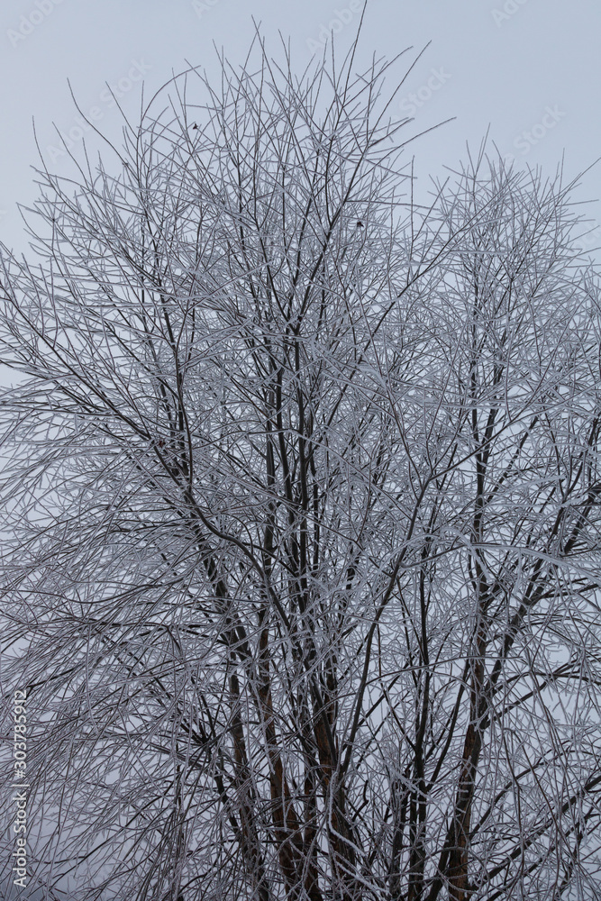 Beautiful winter landscape in russian province Beautiful winter landscape in russian province