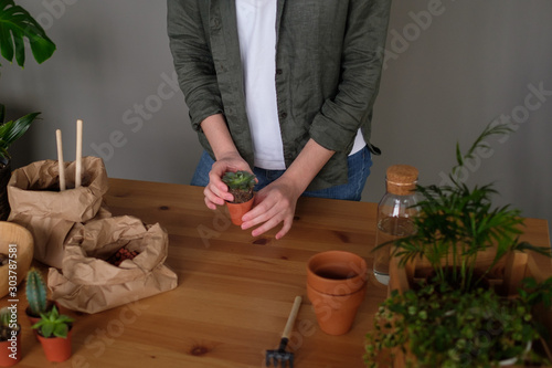 Young woman caring for houseplants. Eco hobby