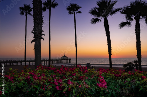 Manhattan Beach Pier at Sunset Behind a Tropical Flower Garden