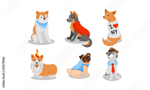 Dogs of Different Breeds Wearing Clothing Item Vector Set