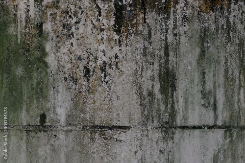 Dirty cement wall from moss and fungi 