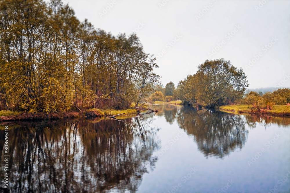 Autumn forest river trees landscape