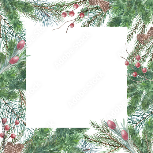 Greeting frame with Christmas tree branches,  mistletoe, olive on white backg...