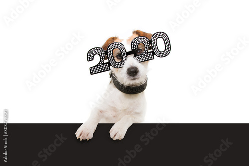 dog new year with paws over black edge. wearing  glasses with the inscription "2020", on a white background