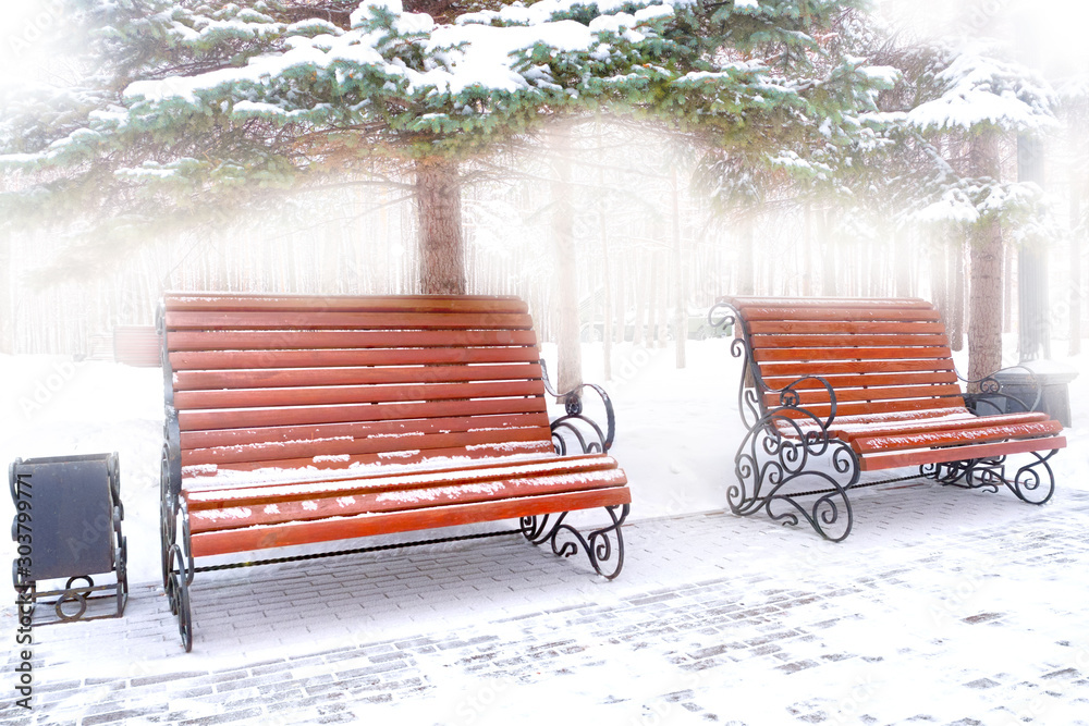 Φωτογραφία wonderland winter in city park landscape with white snow on benches against foggy pine trees background