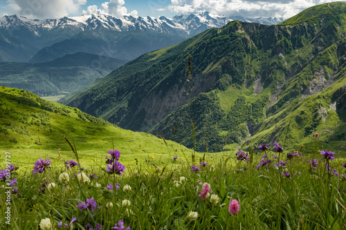 Georgian meadow with mountain view photo