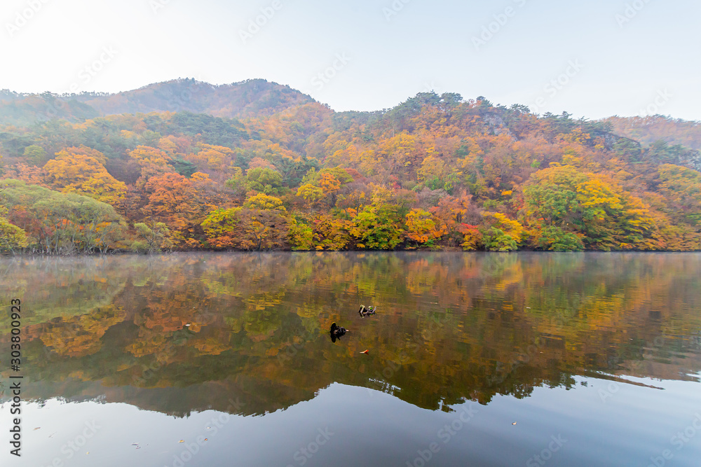 A view of reflections on the Lake be colored by Autumn Fall Maple