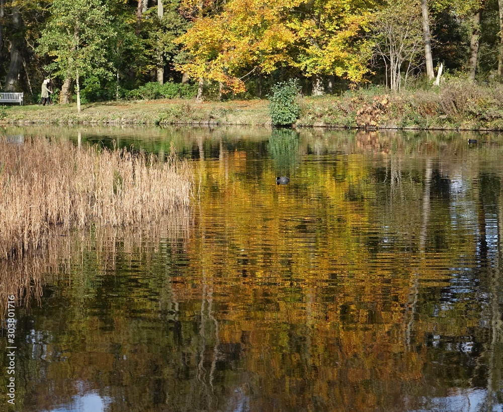 Obraz premium Netherlands. Autumn in The Hague