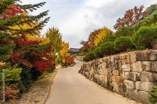 A landscape view of a mountain temple covered with maple trees.