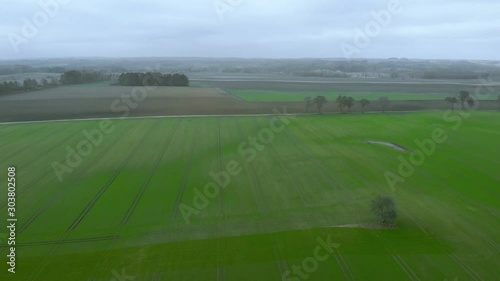 Single tree in the right of the green field, cloudy  sky in autumn seson photo