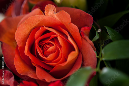 beautiful festive bouquet of different flowers in red-orange tones