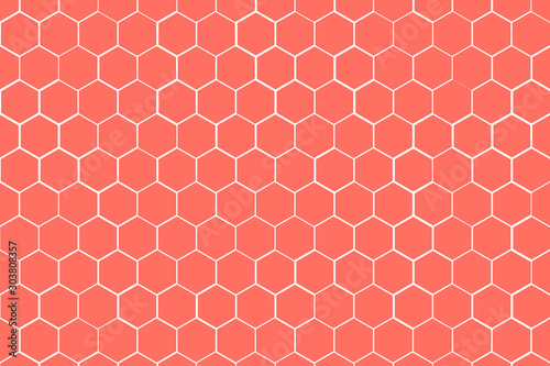 Living Coral tone of Honeycomb Grid tile background or Hexagonal cell texture. with difference border space.