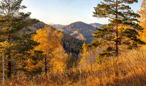 Forested mountains  autumn nature on a sunny evening