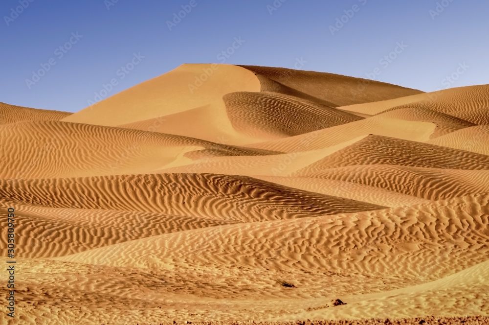 Thal Desert