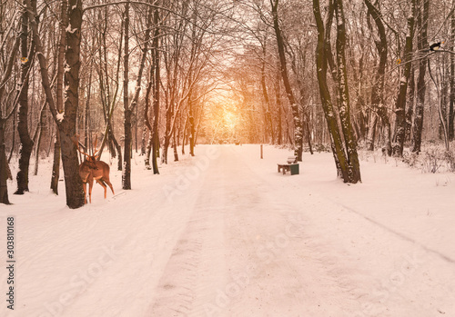 Winter vibes .