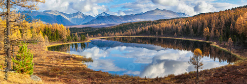 Panoramic view of the forest lake, Altai, Siberia. Bright autumn day. Taiga, beautiful sky and reflection in the water.