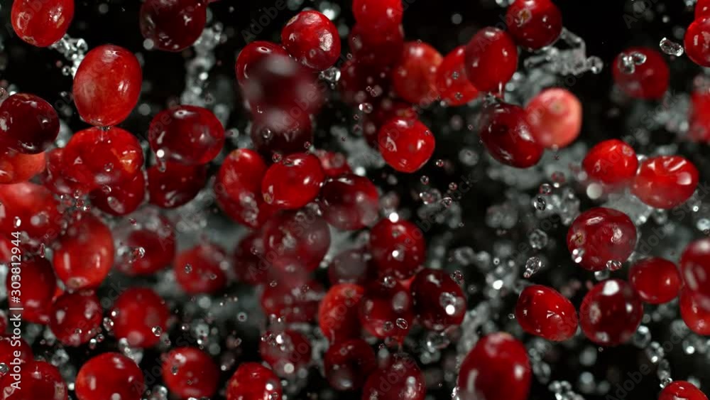 Super Slow Motion Shot of Cranberries and Water Explosion Towards Camera at 1000fps. Super Slow Motion Shot of Cranberries and Water Explosion Towards Camera at 1000fps.