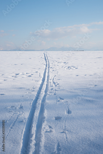 cross-country ski trail in wintry landscape vertical