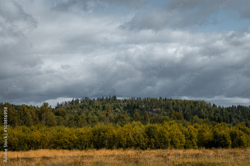 Northern nature of Russia. Forests of Karelia during cloudy weather