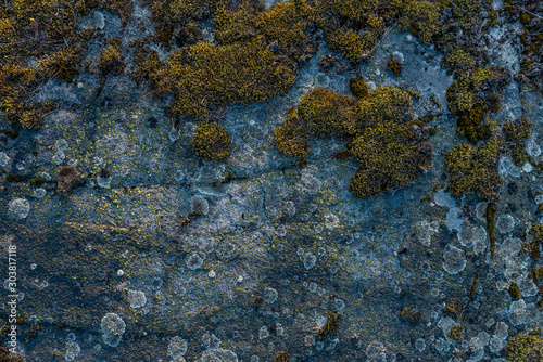Moss on a gray stone. Texture and background © mazurevanasta