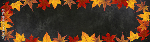 autumn     frame of colorful leaves isolated on a black concrete texture     background panorama banner long