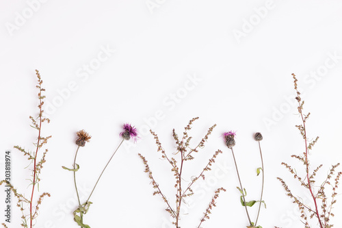 Set of three dry flowers  isolated.
