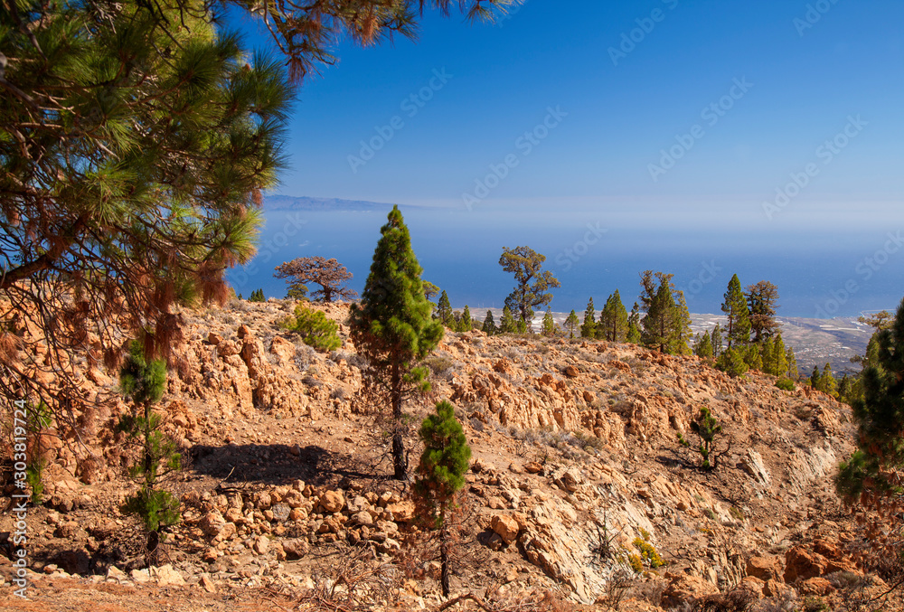 Tenerife, Vilaflor municipality landscapes Tenerife, Vilaflor municipality landscapes