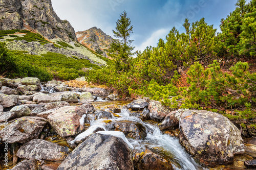 Wild creek in The Mlynicka Valley at late autumn period. The High Tatras National Park, Slovakia, Europe. photo