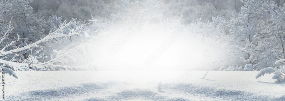 Winter snowy forest landscape.. Christmas New Year holiday background Winter snowy forest landscape.. Christmas New Year holiday background