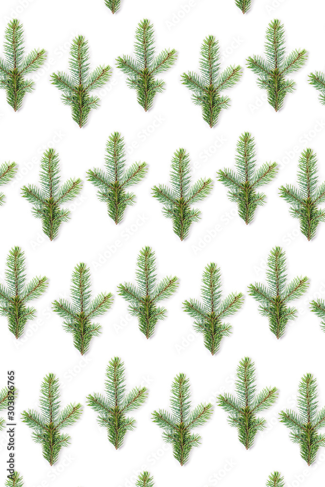 Christmas pattern of a branch of fir isolated on white background. Christmas pattern of a branch of fir isolated on white background.