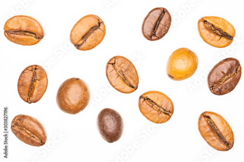 collection of bean isolated on white background