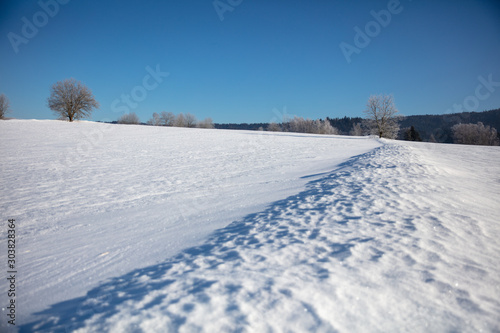 snow and ice covered field in the bavarian forrest national park