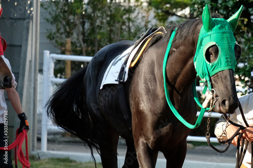 the scene of horse race in Japan