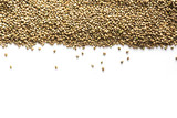Organic dried hemp seeds as background. Space for text. Useful protein substitute for vegans and an organic source of vitamins from safe varieties.