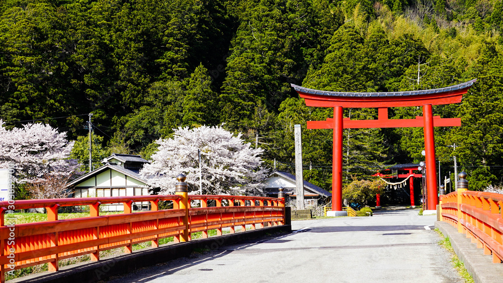 桜咲く春の度津神社 StockFoto Adobe Stock