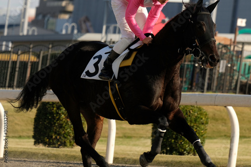 the scene of horse race in Japan © Matthewadobe